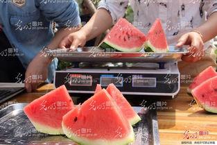 娱乐吃瓜酱山东,吃瓜酱带你探秘本土明星幕后故事